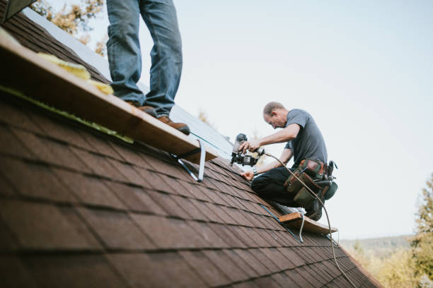 Best Roof Maintenance Services  in Chelan, WA